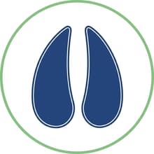 Pequenos Ruminantes