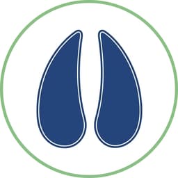 Pequenos Ruminantes