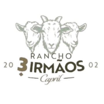 3 Irmãos