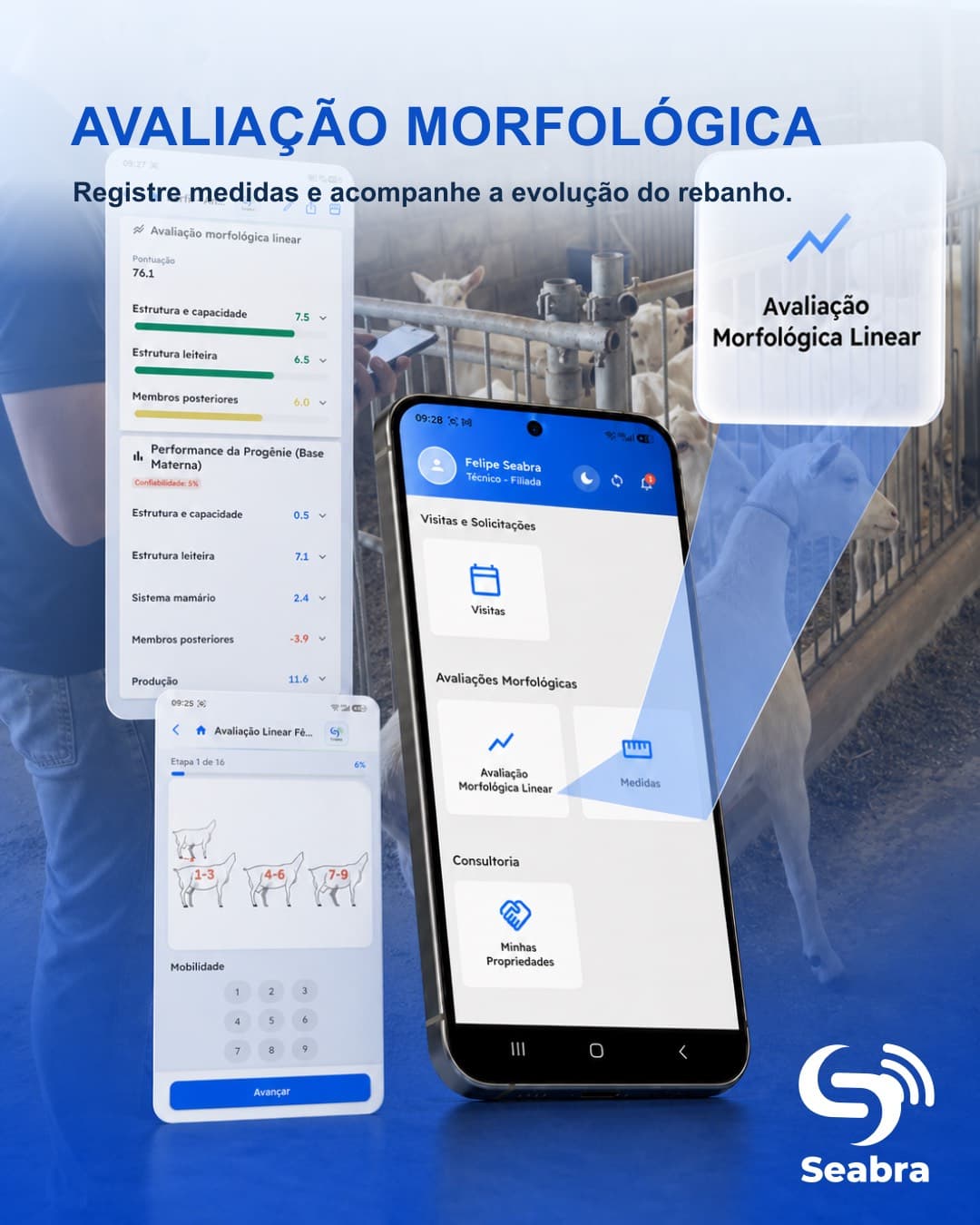 Avaliação morfológica linear no SeabraApp — telas do aplicativo e ícone de avaliação