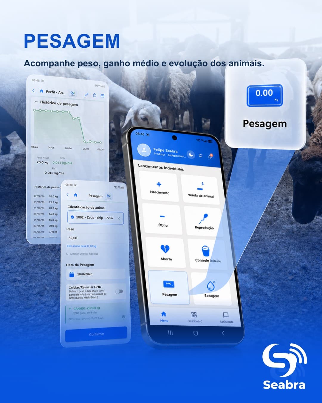 Pesagem de animais no SeabraApp — telas do aplicativo e ícone de pesagem