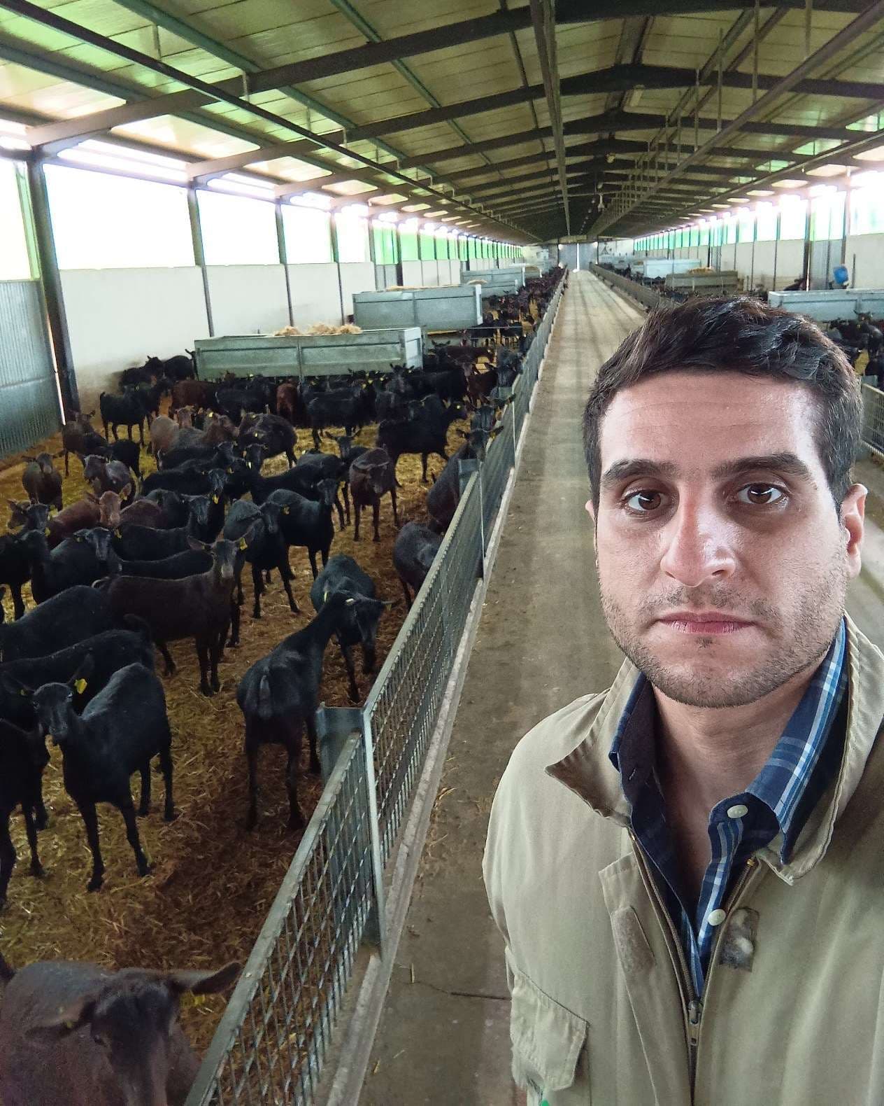 Felipe Seabra no curral, junto ao rebanho