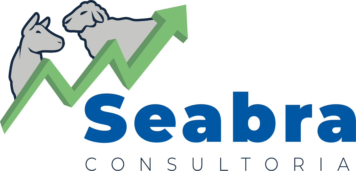 Seabra Consultoria