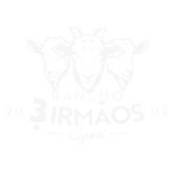 3 Irmãos