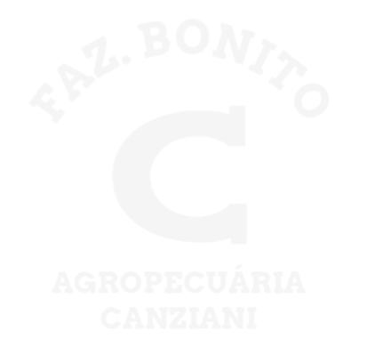 Bonito