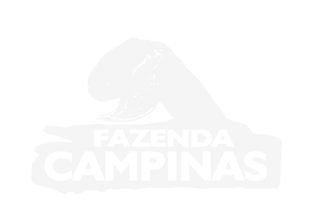 Fazenda Campinas